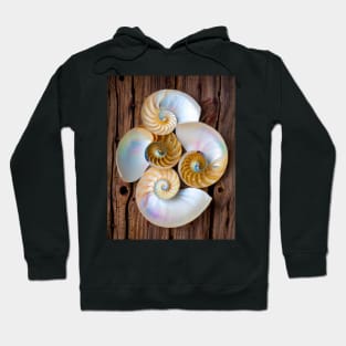 Natures Four Chambered Nautilus Seashells Hoodie